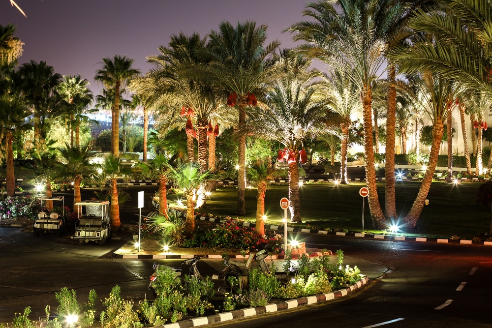 Garden Lighting Service New Orleans Big Easy Lighting garden-lighting-service-new-orleans-big-easy-lighting