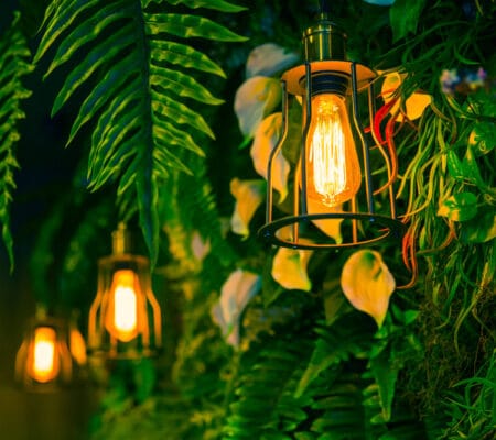 Jungle lamp