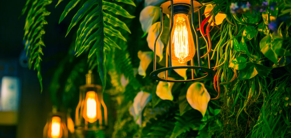 Landscape Lighting in New Orleans