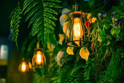 Landscape Lighting in New Orleans