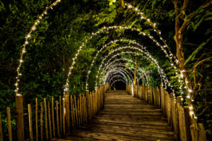 New Orleans Landscape Lighting Services
