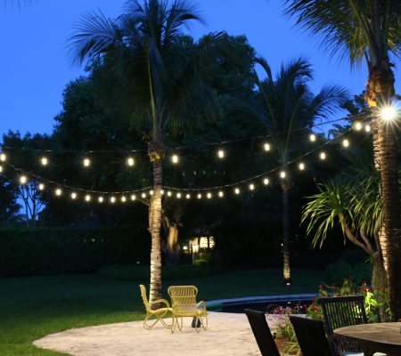 String lights strung between palms over a backyard patio at twilight