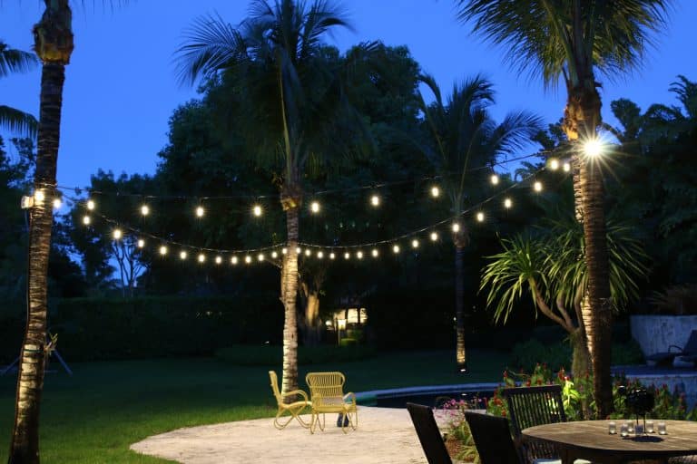 String lights strung between palms over a backyard patio at twilight