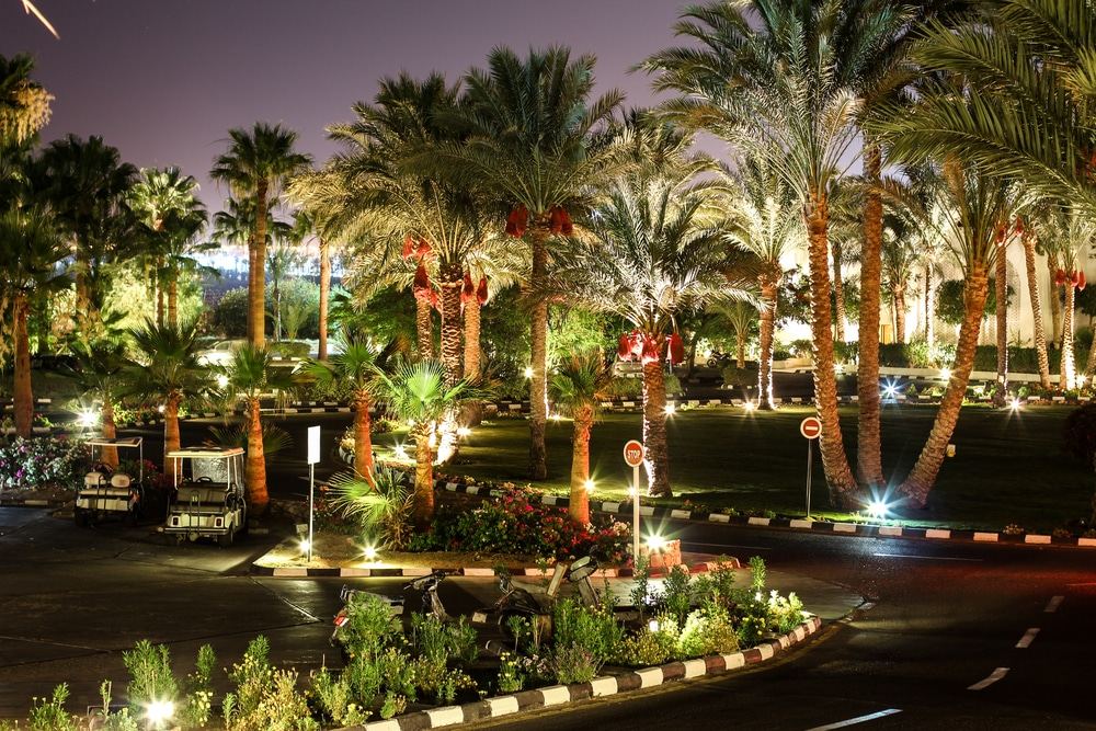 Palm-lined grounds lit at dusk