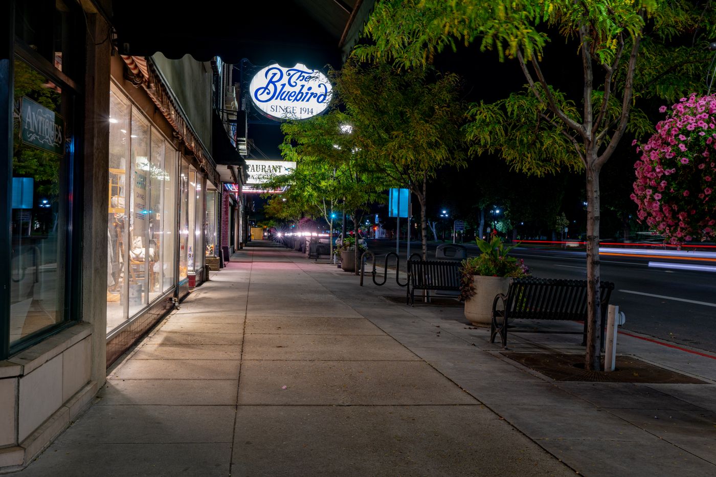 Downtown sidewalk and shops lit up at night